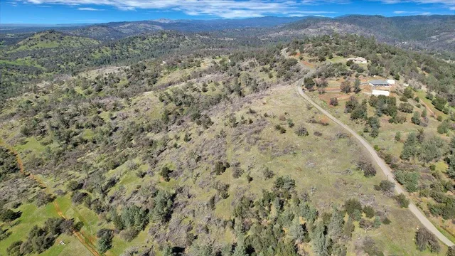 a view of a yard with a street