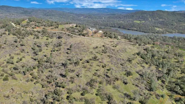 a view of a dry yard with trees in the background