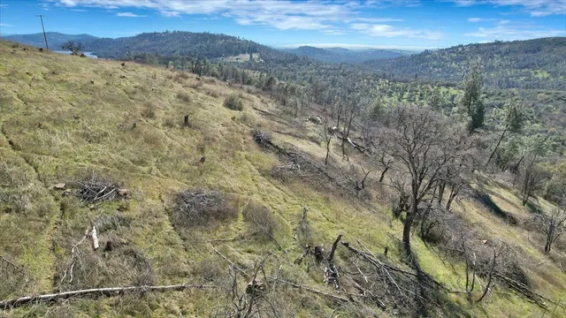 a view of a dry yard with wooden fence