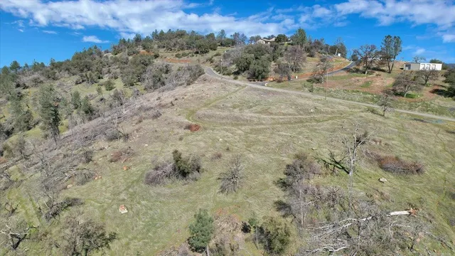 a view of a dry yard