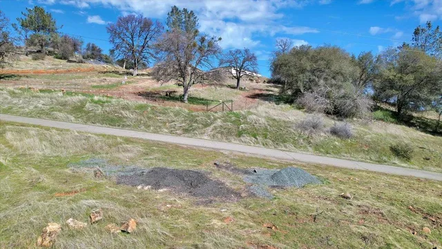a view of a dry yard
