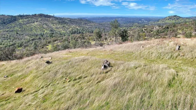 a view of a dry yard with wooden fence