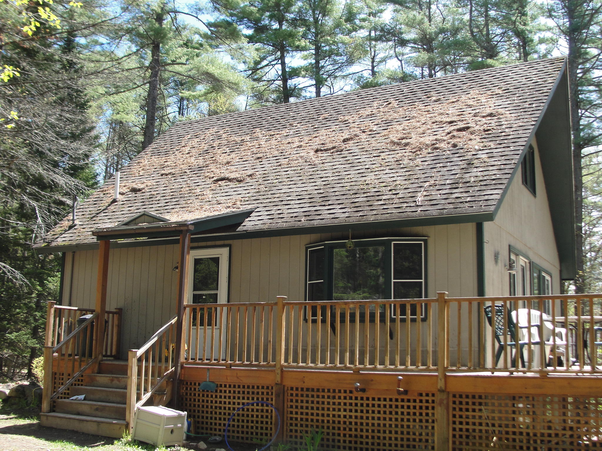 56 Punkin Valley Road Bridgton, ME 04009 - Photo 3 of 39 Heidi,bredahl,bergstrom,hersom 068