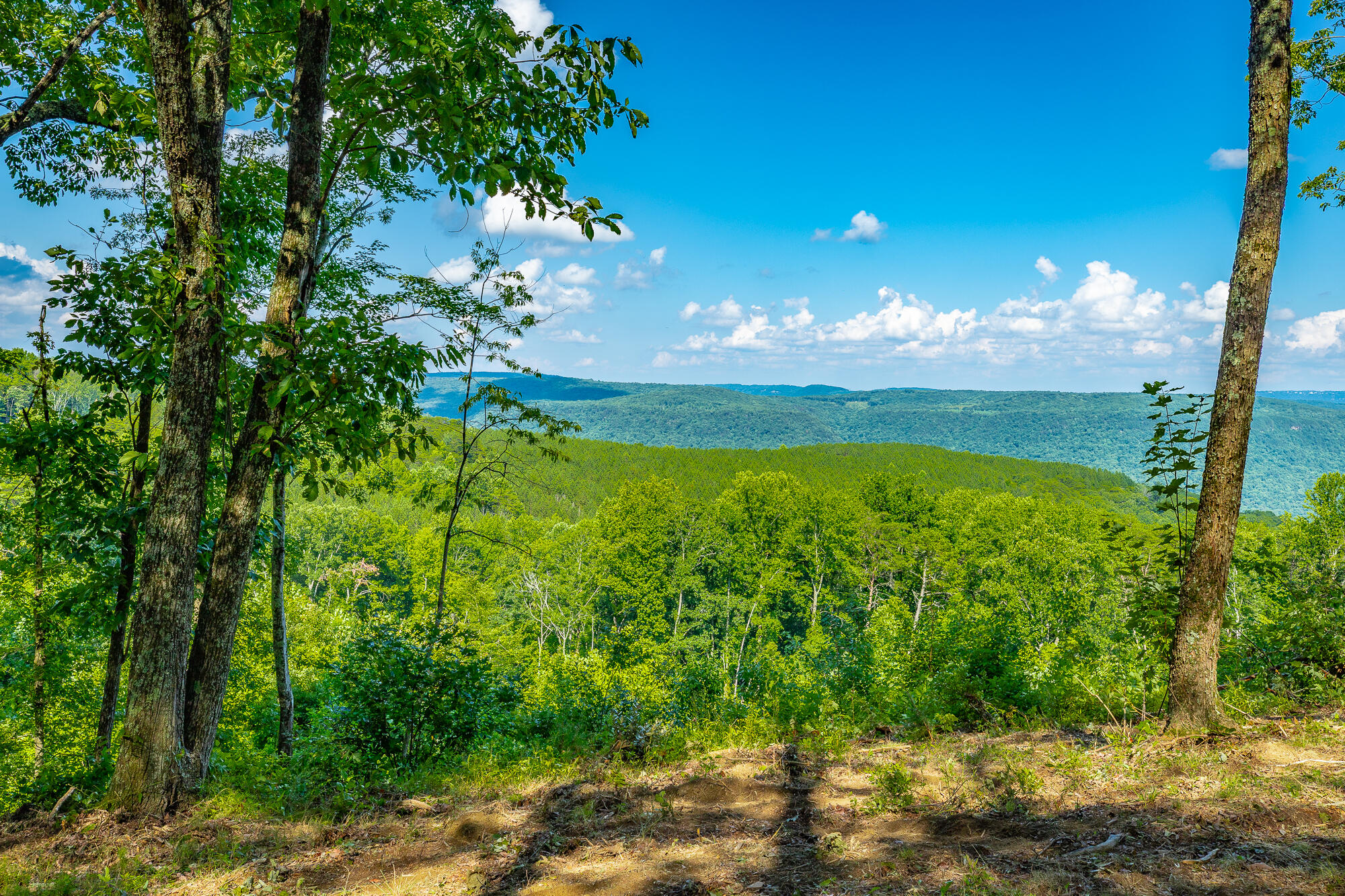 0 High Ground Road, Unit 2222 Guild, TN 37340 - Photo 6 of 110 0 High Ground Road Lot 2222 HD-67