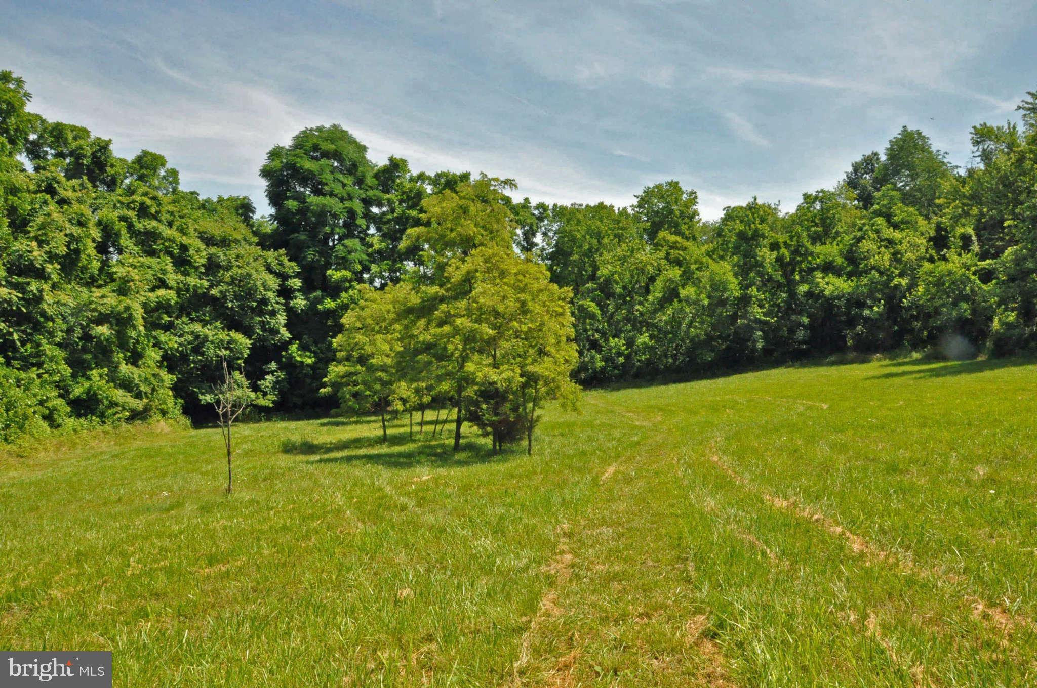 19025 Geeting Road Keedysville, MD 21756 - Photo 23 of 26 Scenic 5 acres