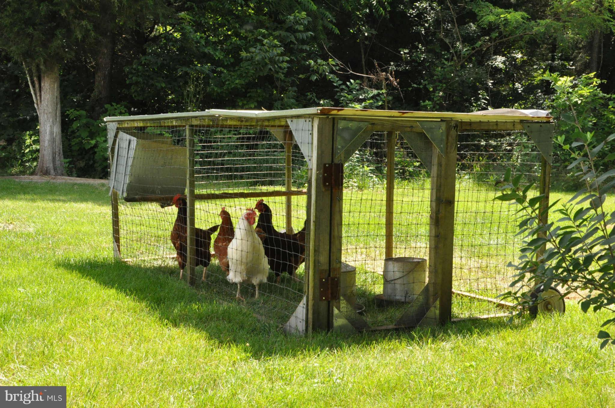 19025 Geeting Road Keedysville, MD 21756 - Photo 25 of 26 Livestock welcome!