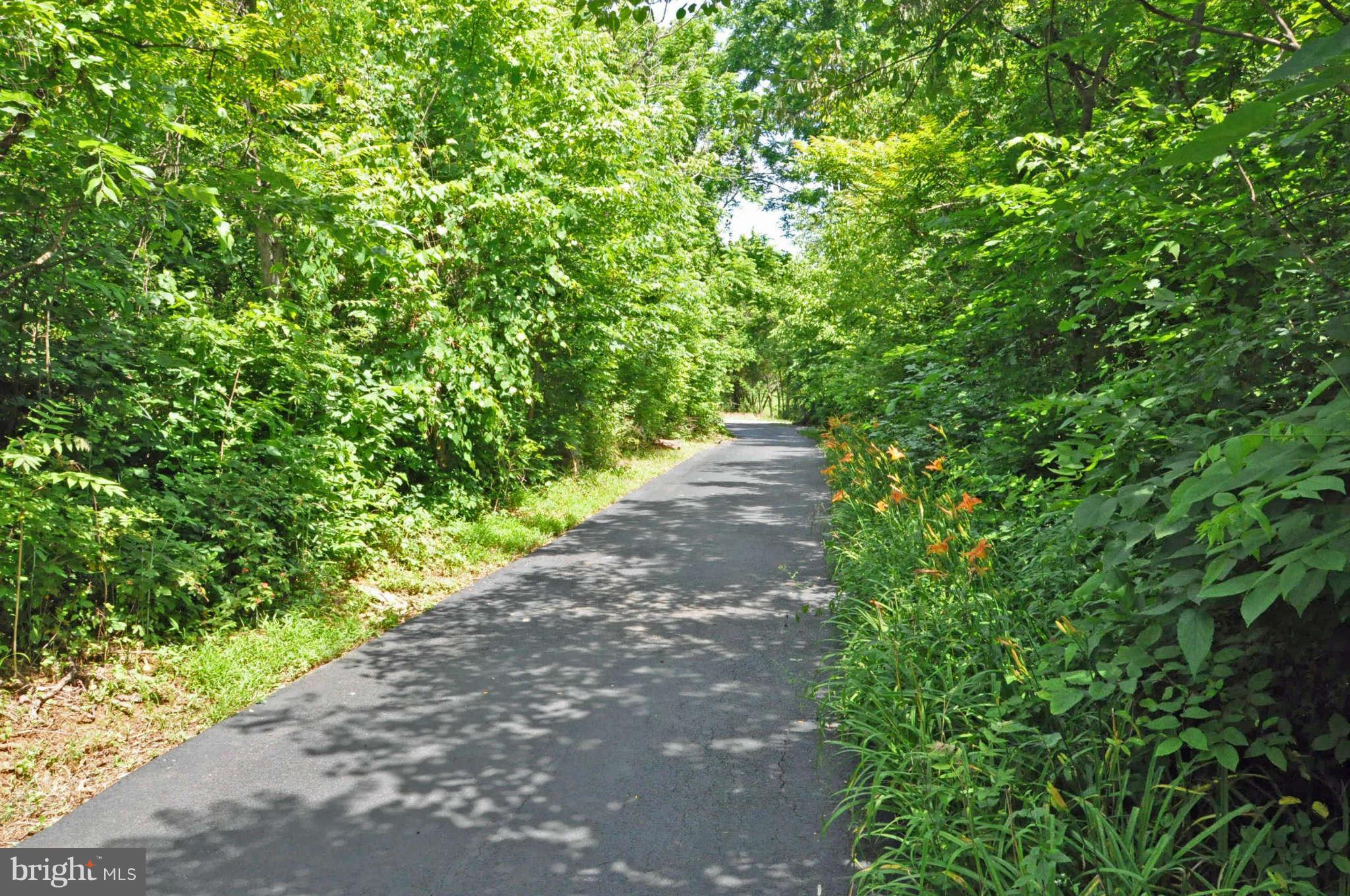 19025 Geeting Road Keedysville, MD 21756 - Photo 26 of 26 Nicely paved driveway