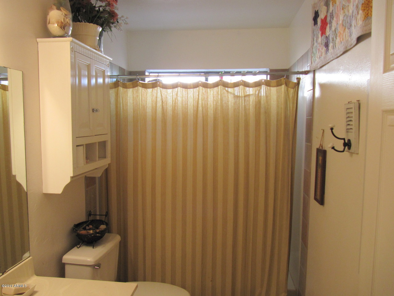 3631 East Decatur Street Mesa, AZ 85205 - Photo 3 of 23 Bathroom