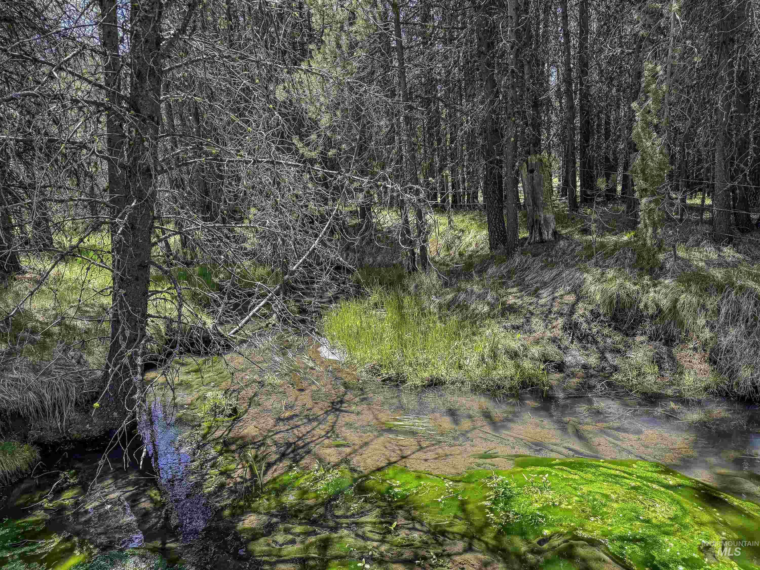 Tbd Deer Creek Road Winchester, ID 83555 - Photo 15 of 39