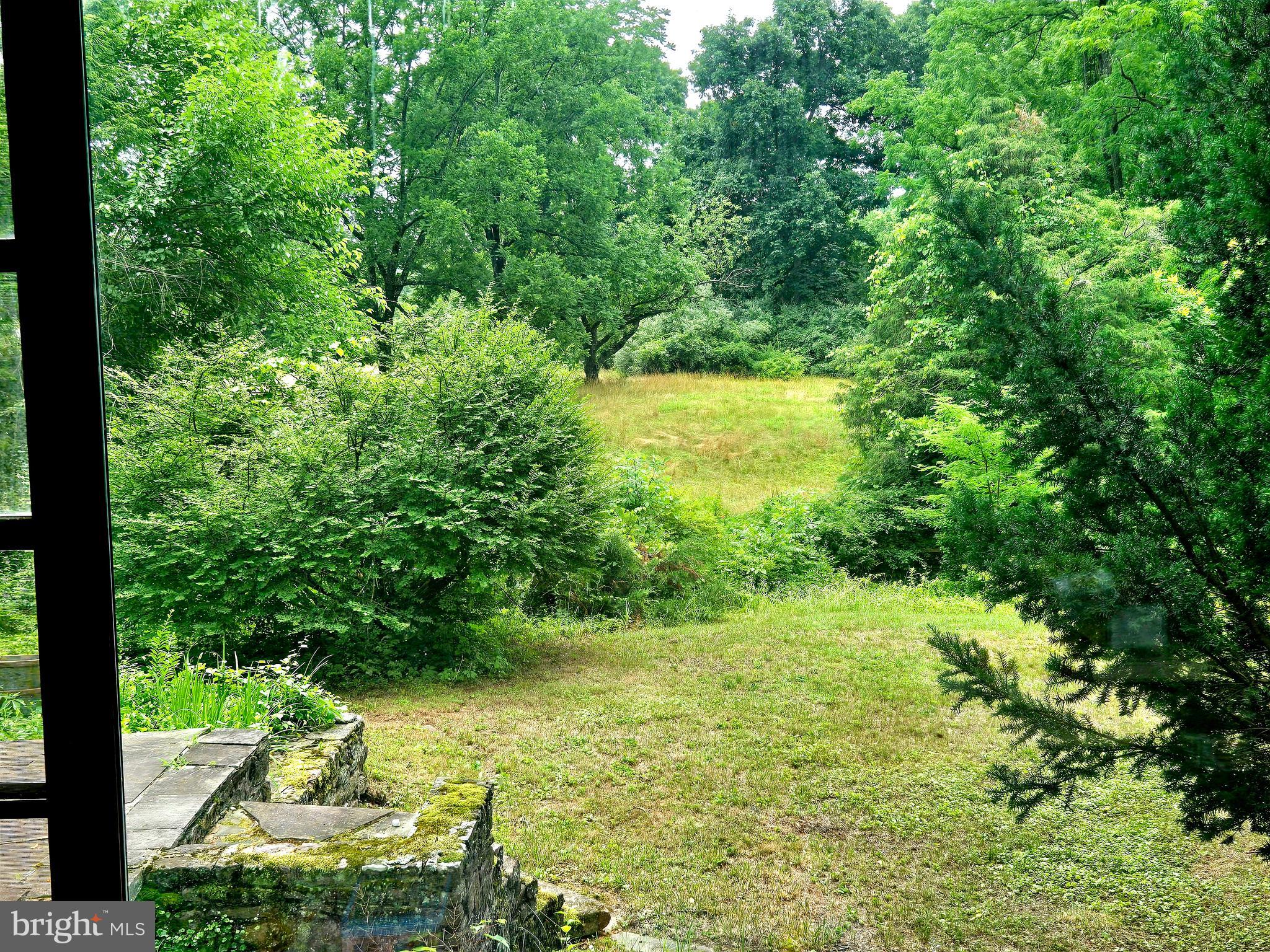 6750 Phillips Mill Road New Hope, PA 18938 - Photo 16 of 26 View From Family Room