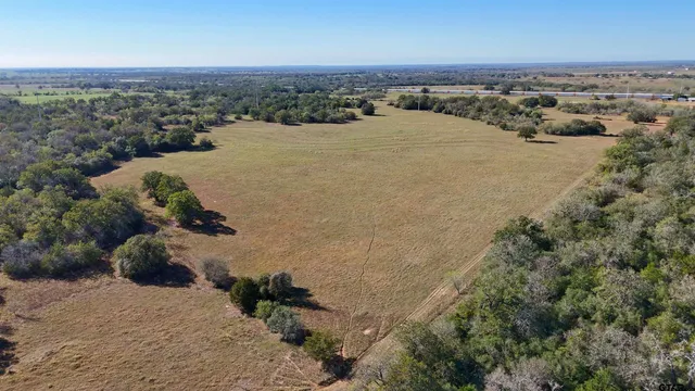 a view of a city with lush green forest