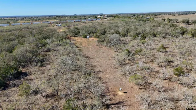 a view of a dry yard with lots of trees