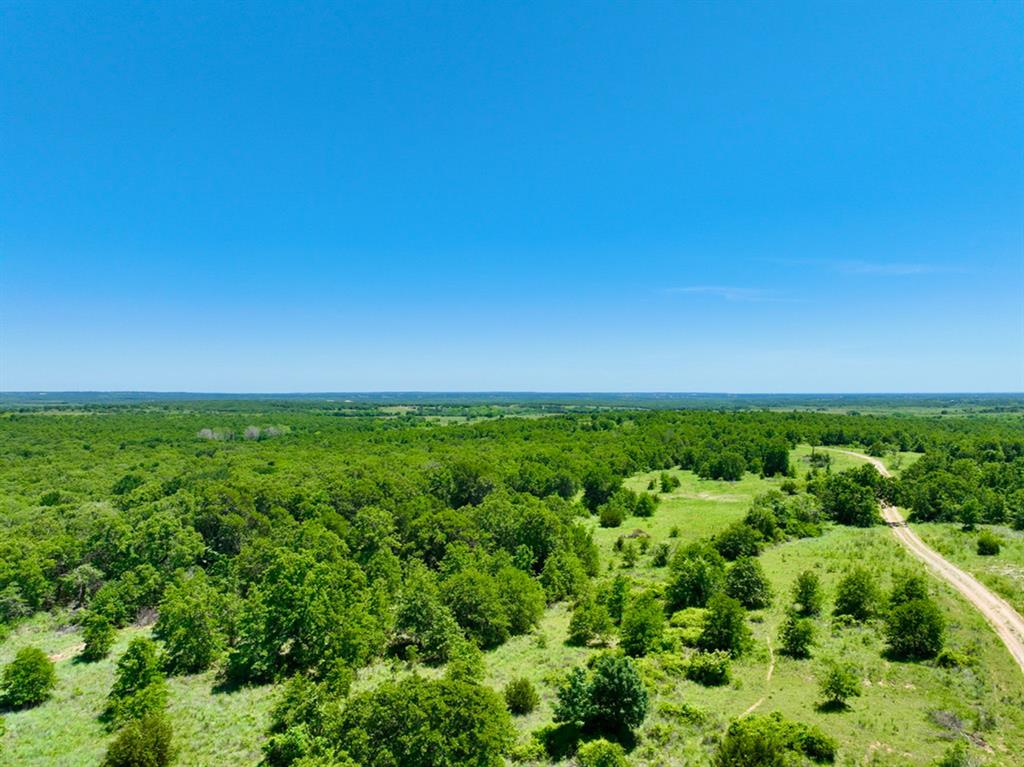 Tbd2 Dps Tower Road Perrin, TX 76486 - Photo 1 of 1 a view of yard with green space