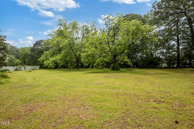a view of a park with large trees
