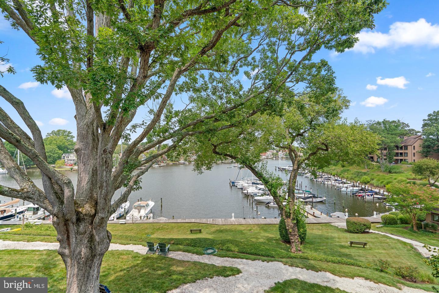 2 President Point Drive, Unit A3 Annapolis, MD 21403 - Photo 27 of 37 Rear View of Unit