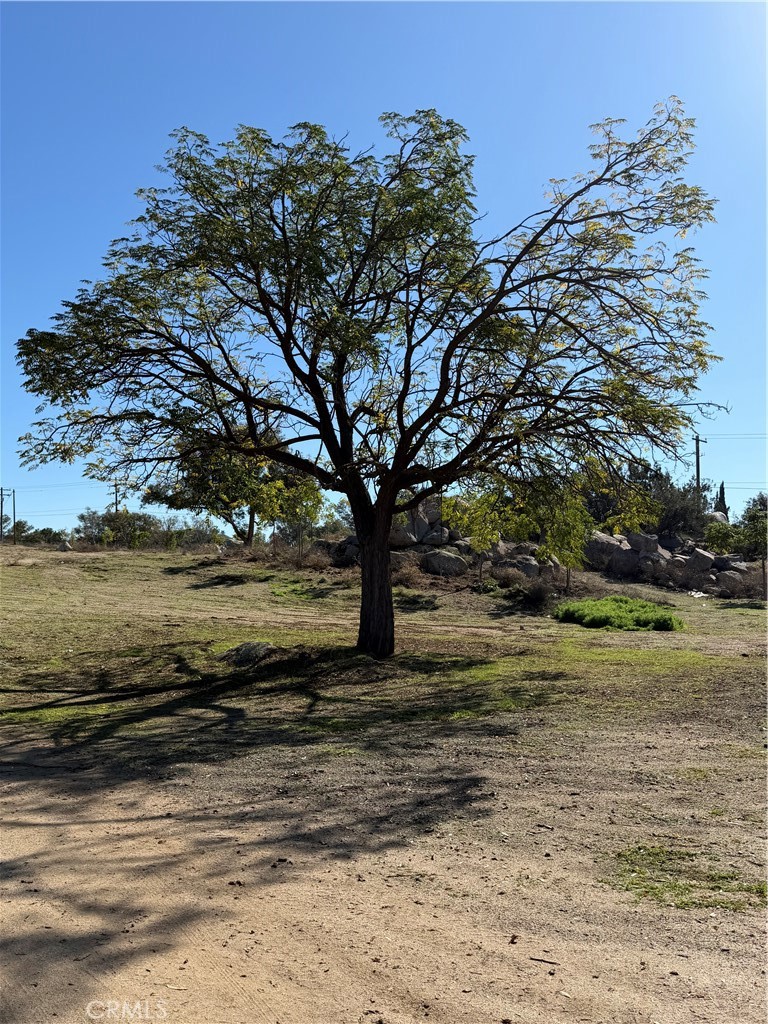 a view of a yard with an ocean view