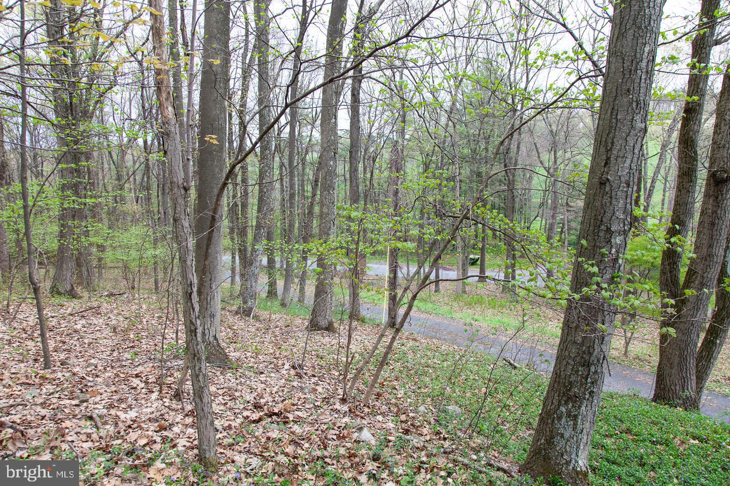 106 Turkey Road Kempton, PA 19529 - Photo 12 of 16 Gallery Image 12