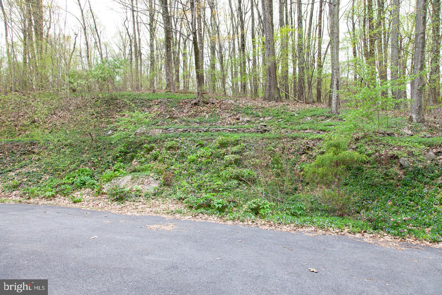 106 Turkey Road Kempton, PA 19529 - Photo 14 of 16 Gallery Image 14