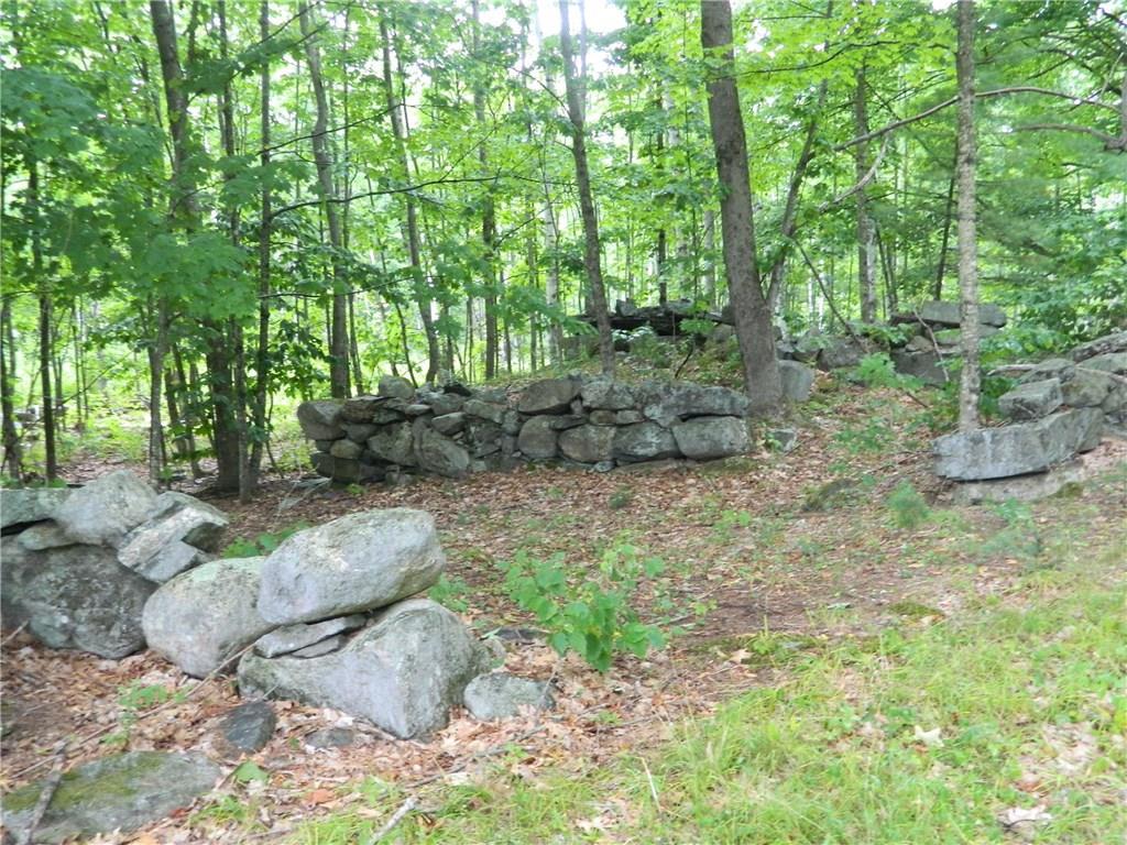 0 Mountain Road Parsonsfield, ME 04047 - Photo 10 of 22 Photo