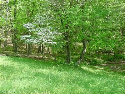 Buehler Road Stone Creek, OH 43840 - Photo 1 of 1 Gallery Image 1