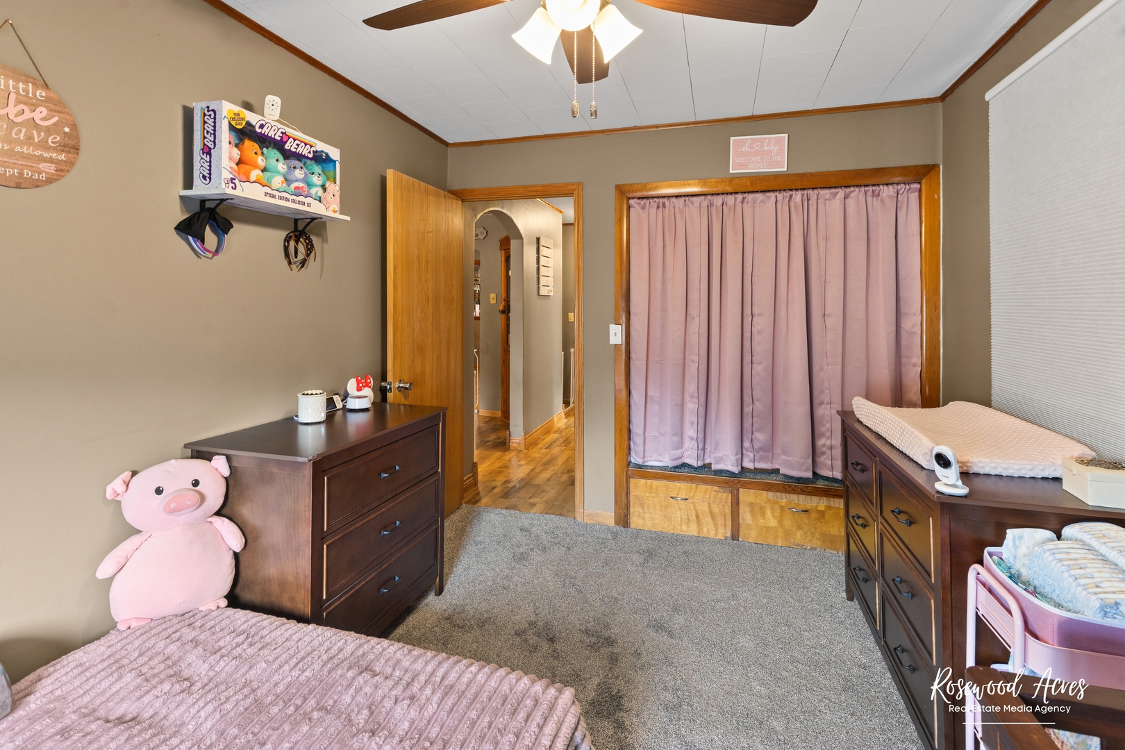 305 North 3rd Street Danforth, IL 60930 - Photo 19 of 30 Gallery Image 19