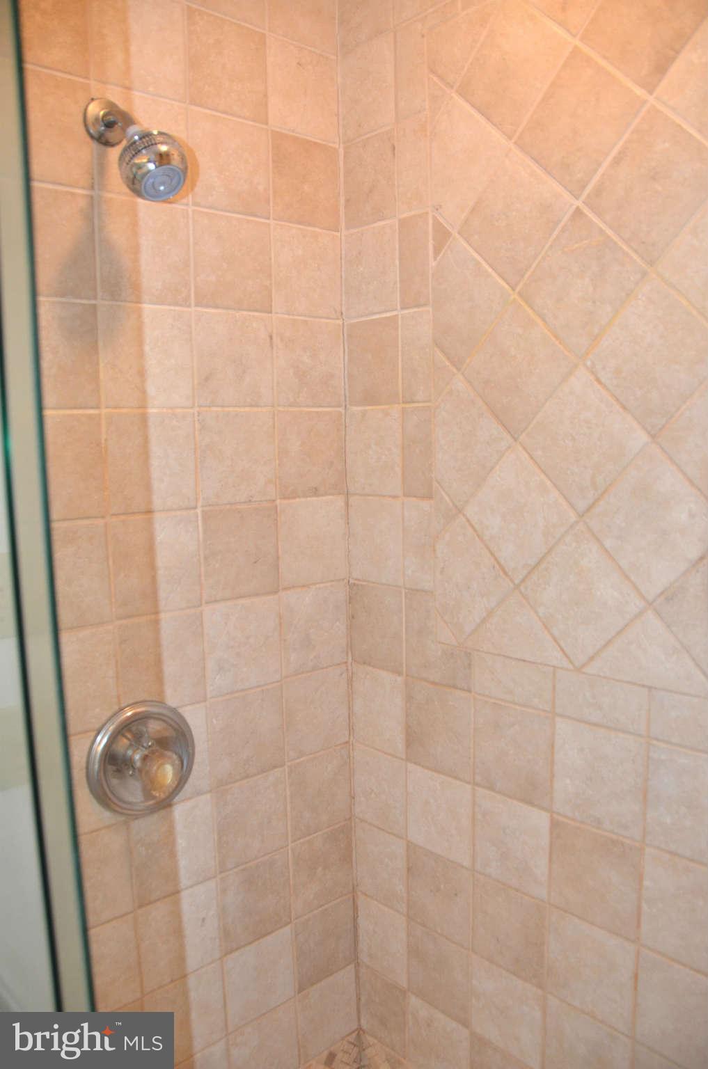 1120 Carrs Wharf Road Edgewater, MD 21037 - Photo 13 of 30 Bath (Master)