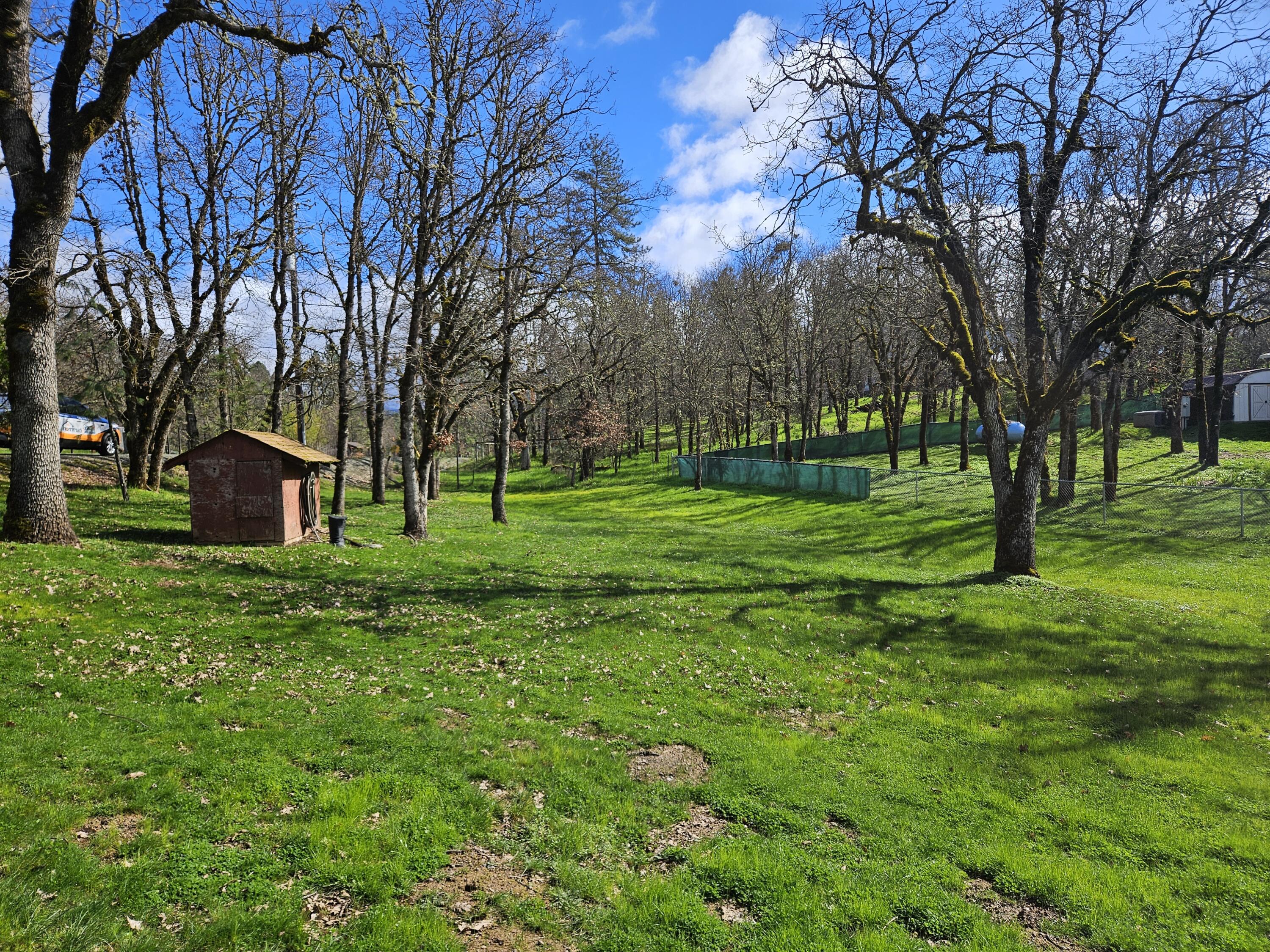 650 Three Pines Road Grants Pass, OR 97526 - Photo 3 of 48 a view of a backyard with large trees