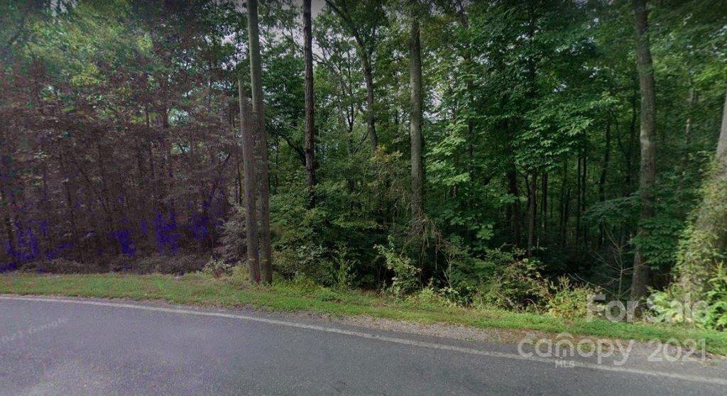 0 Graveyard Road Fairview, NC 28730 - Photo 7 of 9 Gallery Image 7