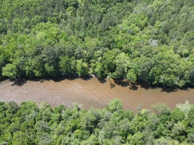 Tbd 37-ac Old River Road Baker, FL 32531 - Photo 16 of 41 an aerial view of a forest with houses
