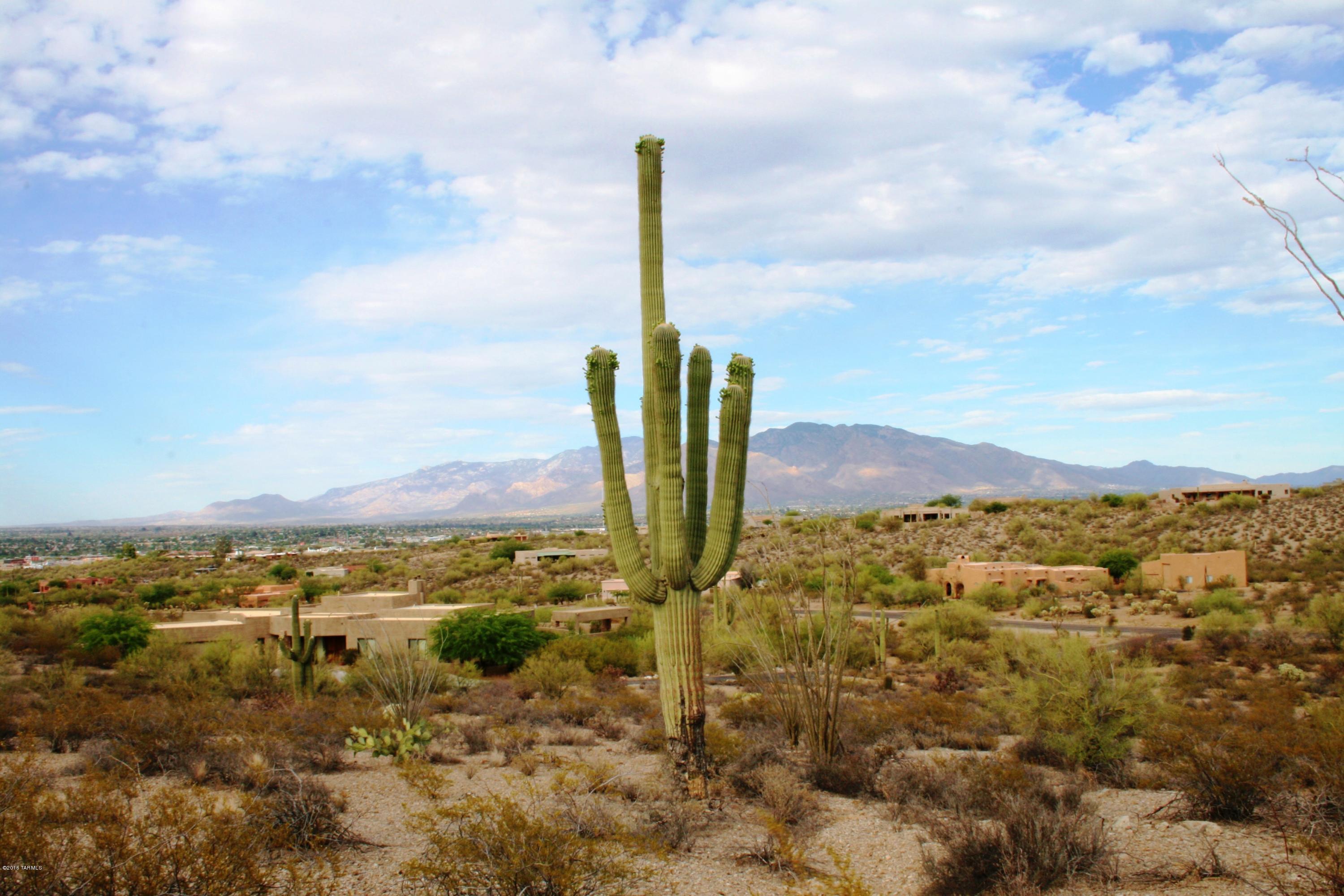 6075 North Abington Road, Unit LOT 4 Tucson, AZ 85743 - Photo 15 of 31