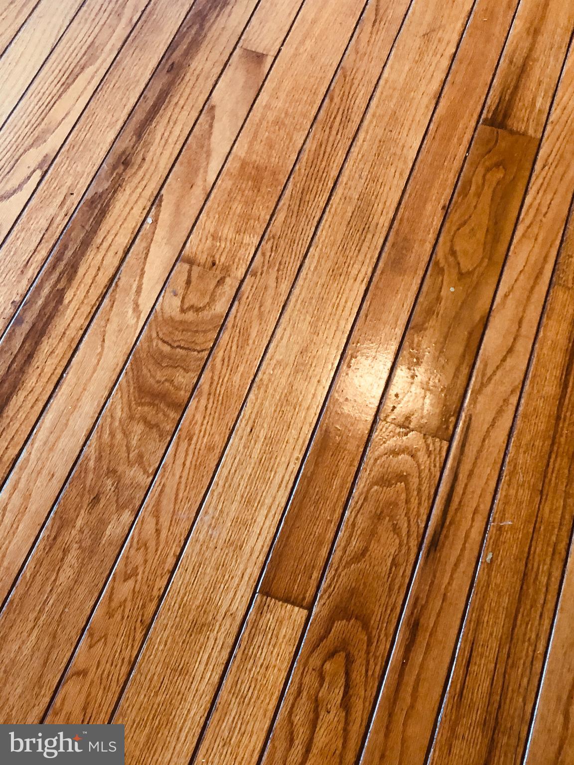 420 Old Swede Road Douglassville, PA 19518 - Photo 8 of 9 Hardwood Flooring