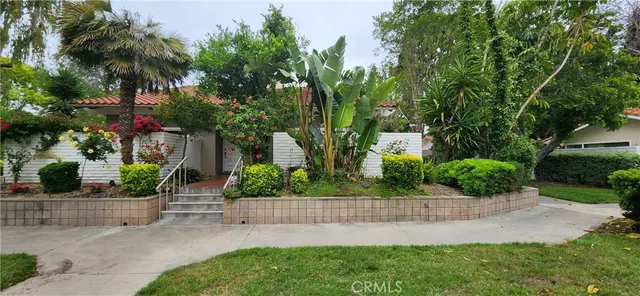 a view of a garden with potted plants