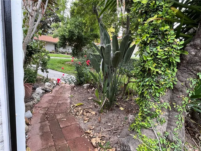 a view of a garden with plants and large trees