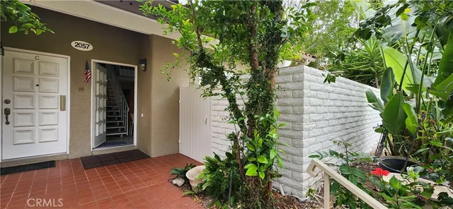 a potted plant sitting in front of a house