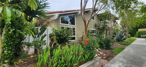 a view of a garden with plants