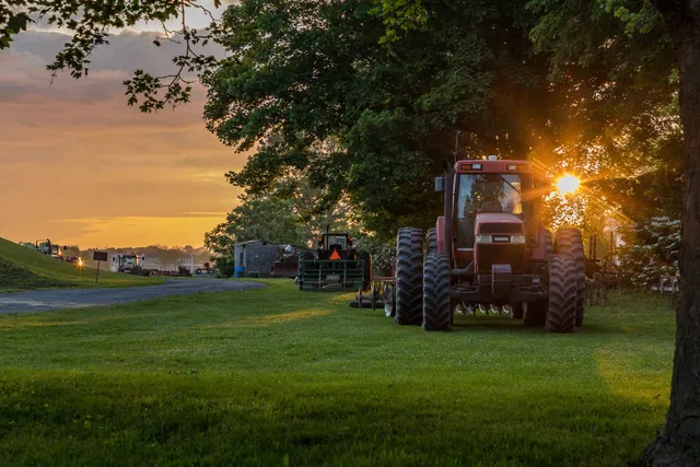 a view of a grassy field with trees