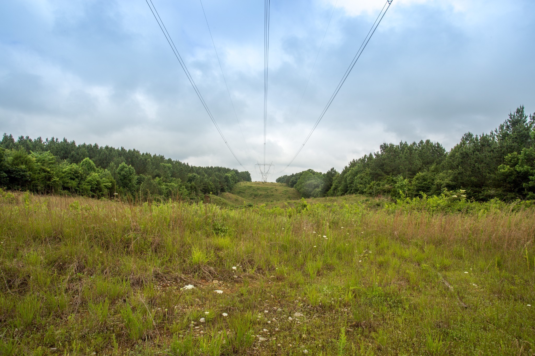 115 Baudy James Road Cedar Grove, TN 38321 - Photo 10 of 18 a view of lake