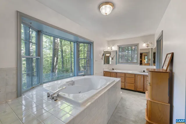 a view of a yard with a tree