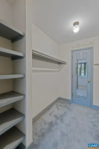 a view of a garden with plants