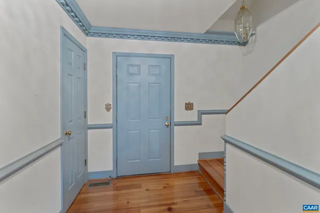 a view of a forest with trees