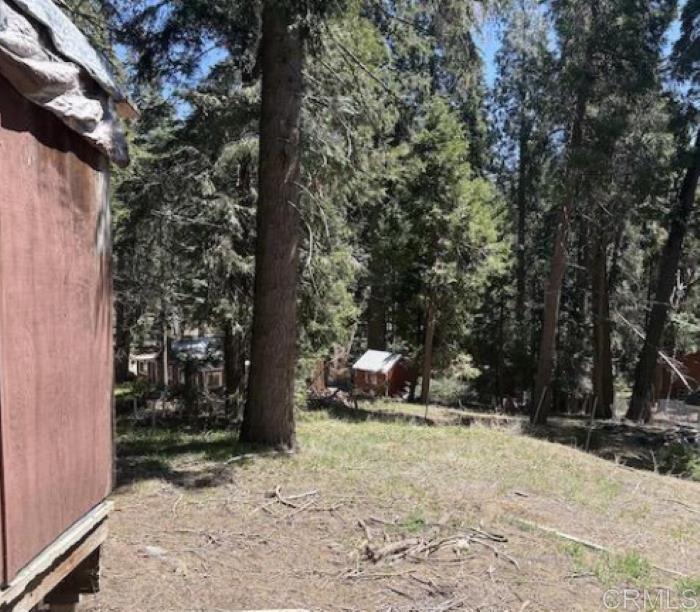 22021 Crestline Road Palomar Mountain, CA 92060 - Photo 4 of 15 a view of backyard space and tree