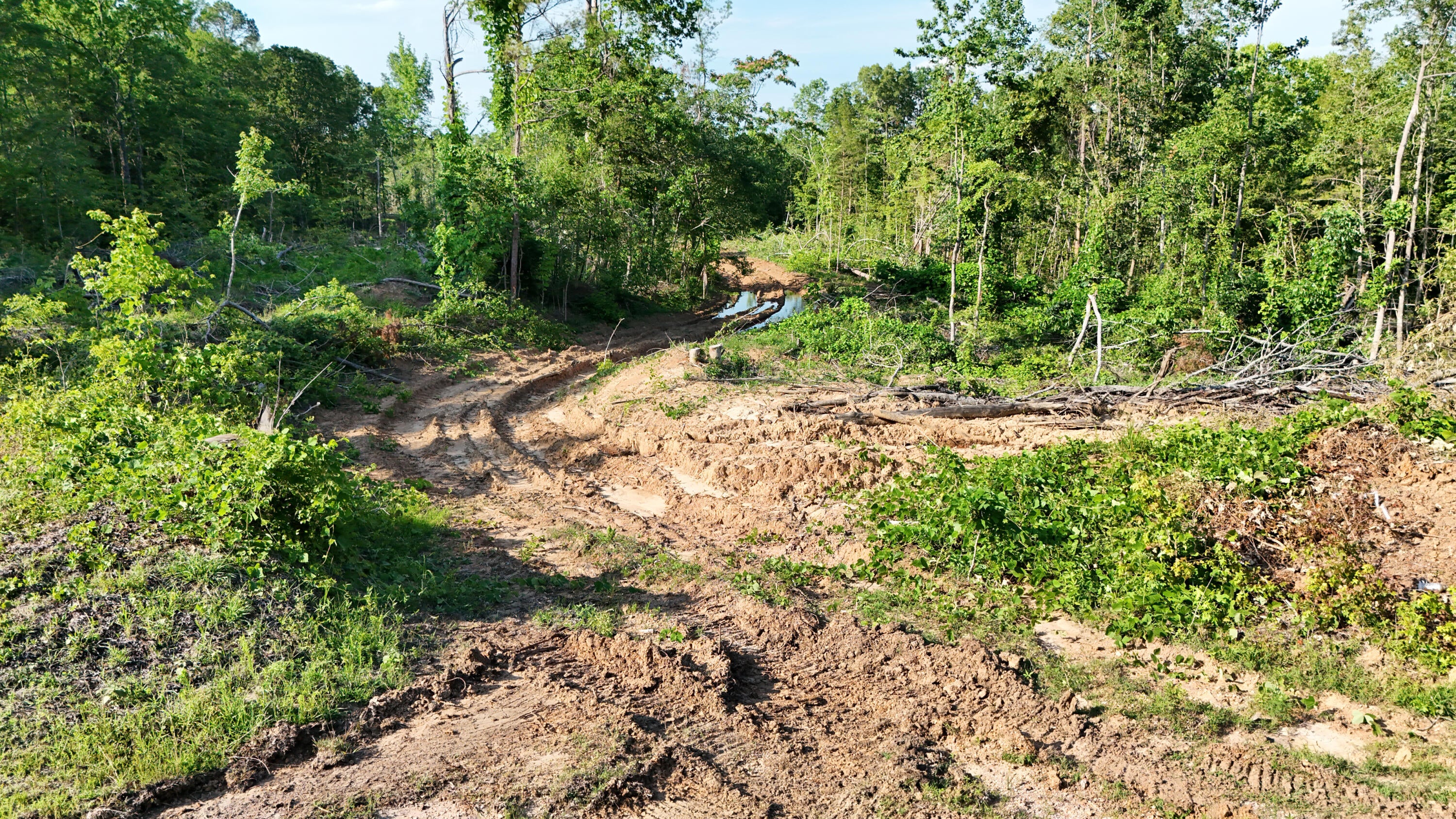 2 Hohenlinden Road Mantee, MS 39751 - Photo 15 of 68 Gallery Image 15