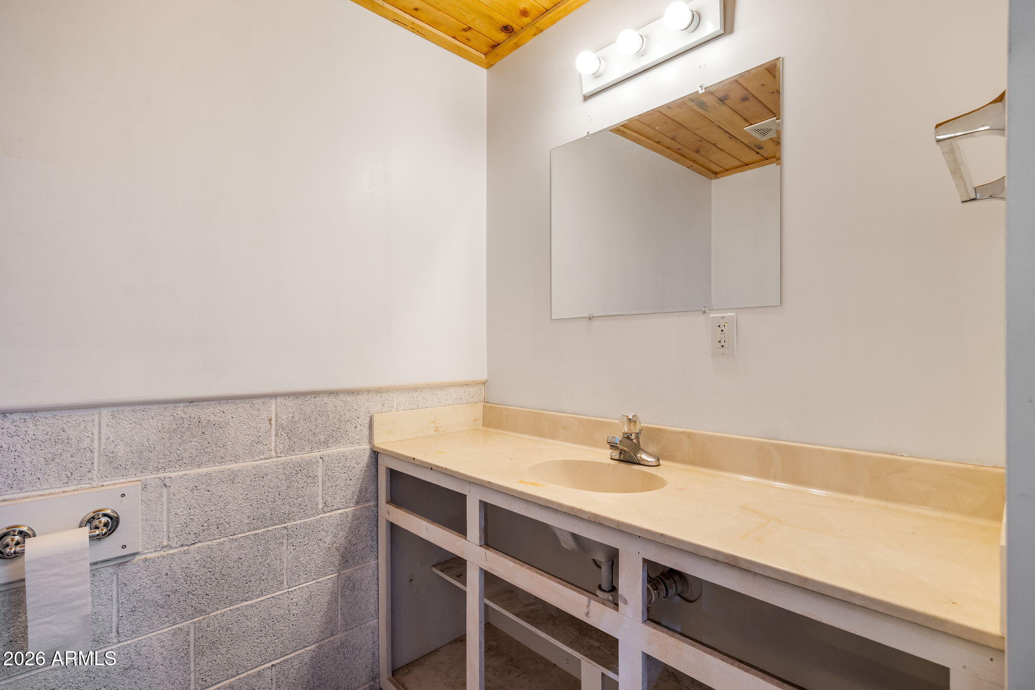 2868 South Meadow Road Heber, AZ 85928 - Photo 49 of 63 a bathroom with a sink and a mirror