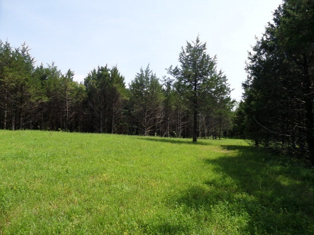 2 Nichols Ridge Fulton, MO 65251 - Photo 2 of 6