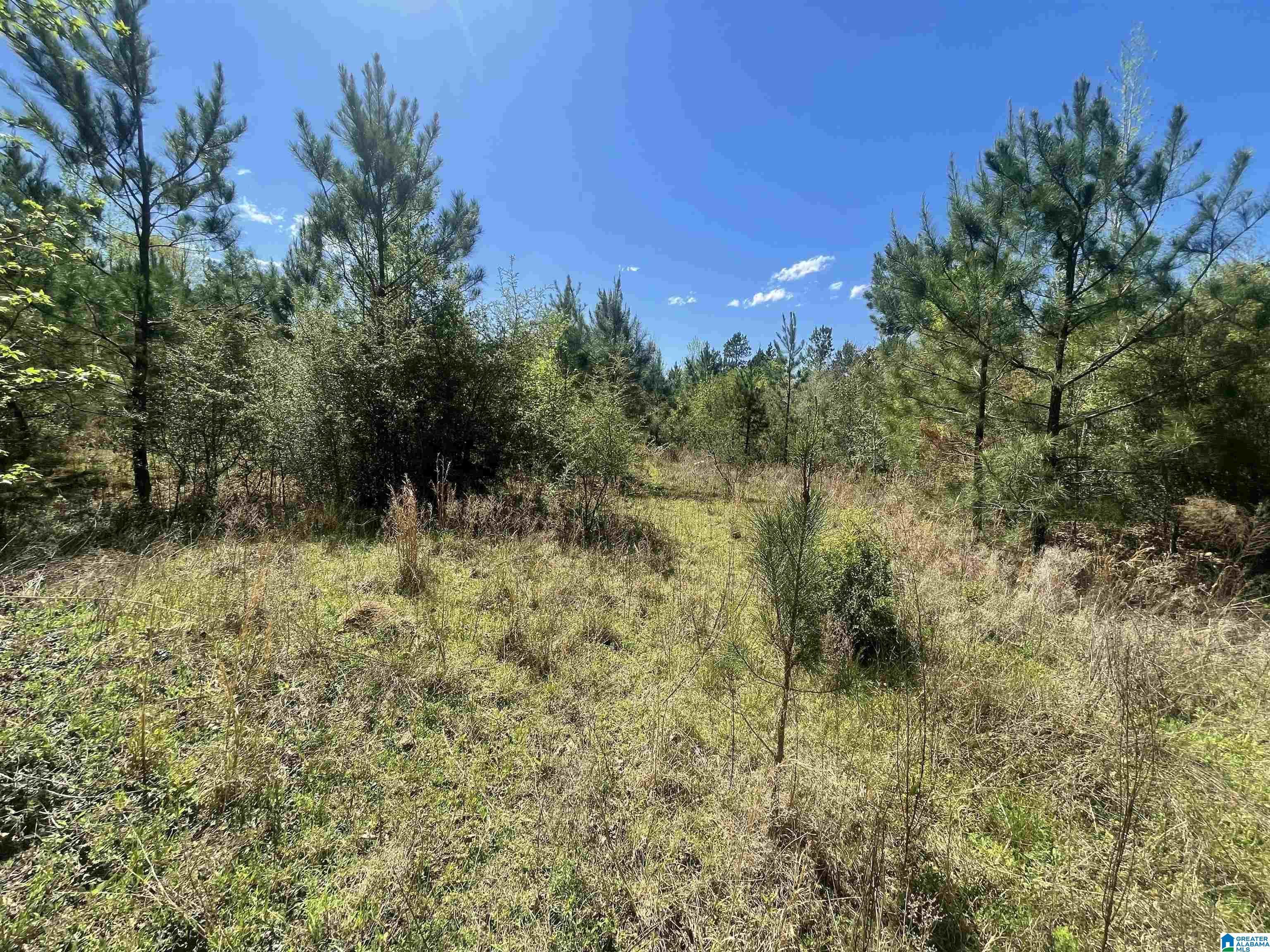 0 Richardson Road Brewton, AL 36426 - Photo 37 of 47