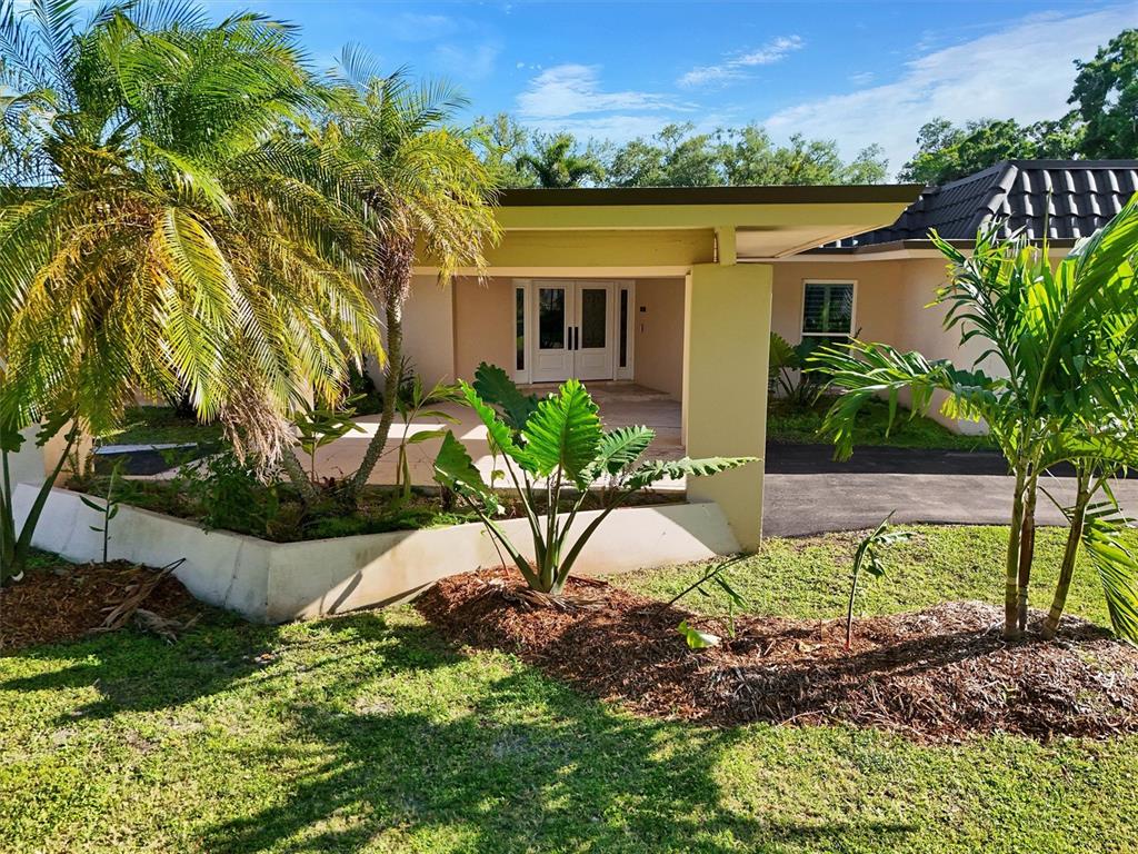 1875 Belleair Road Clearwater, FL 33764 - Photo 5 of 100 a view of a backyard with plants and a garden