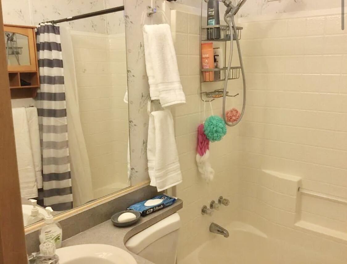 74711 Dillon Road Desert Hot Springs, CA 92241 - Photo 11 of 41 a bathroom with a shower curtain and a vase of flowers