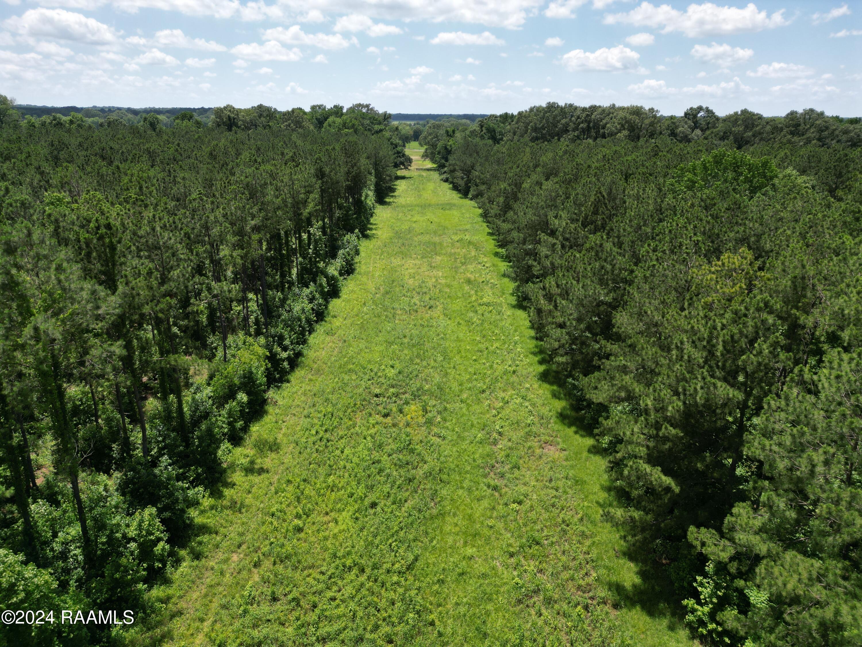 0 Herbert Ortego Road Washington, LA 70589 - Photo 2 of 18