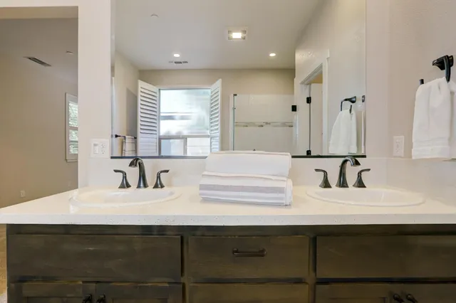 a view of a garden with plants