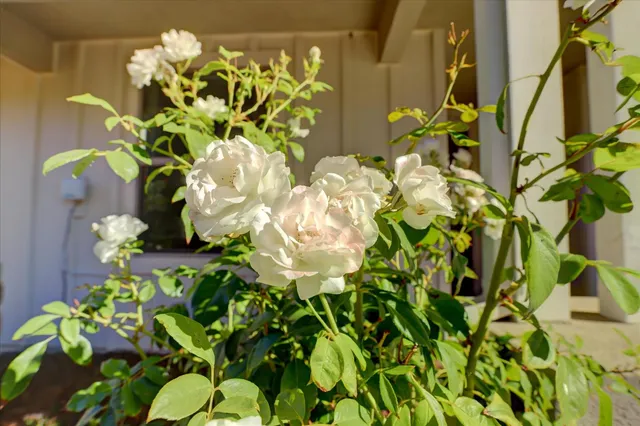 $695,000 | 306 Lone Jack Court, Unit 24, Grass Valley, CA 95945